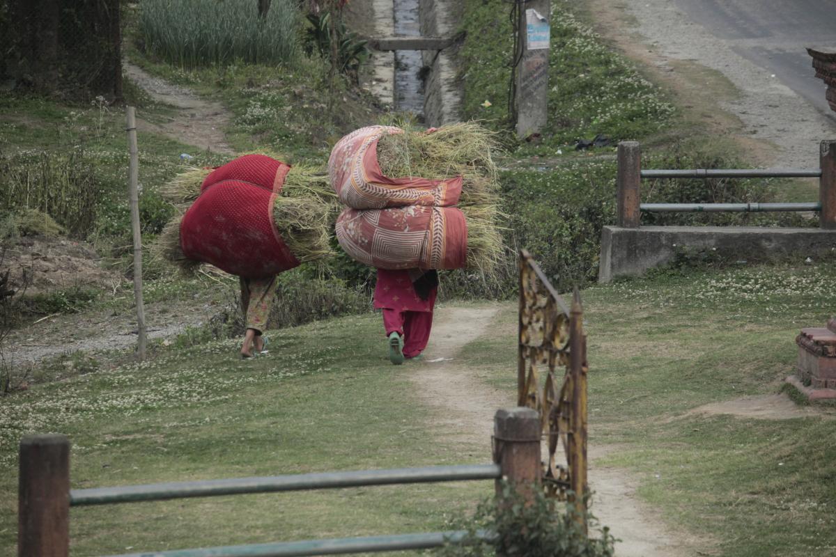 Much of the heavy work on Nepal's subsistence farms is done by women