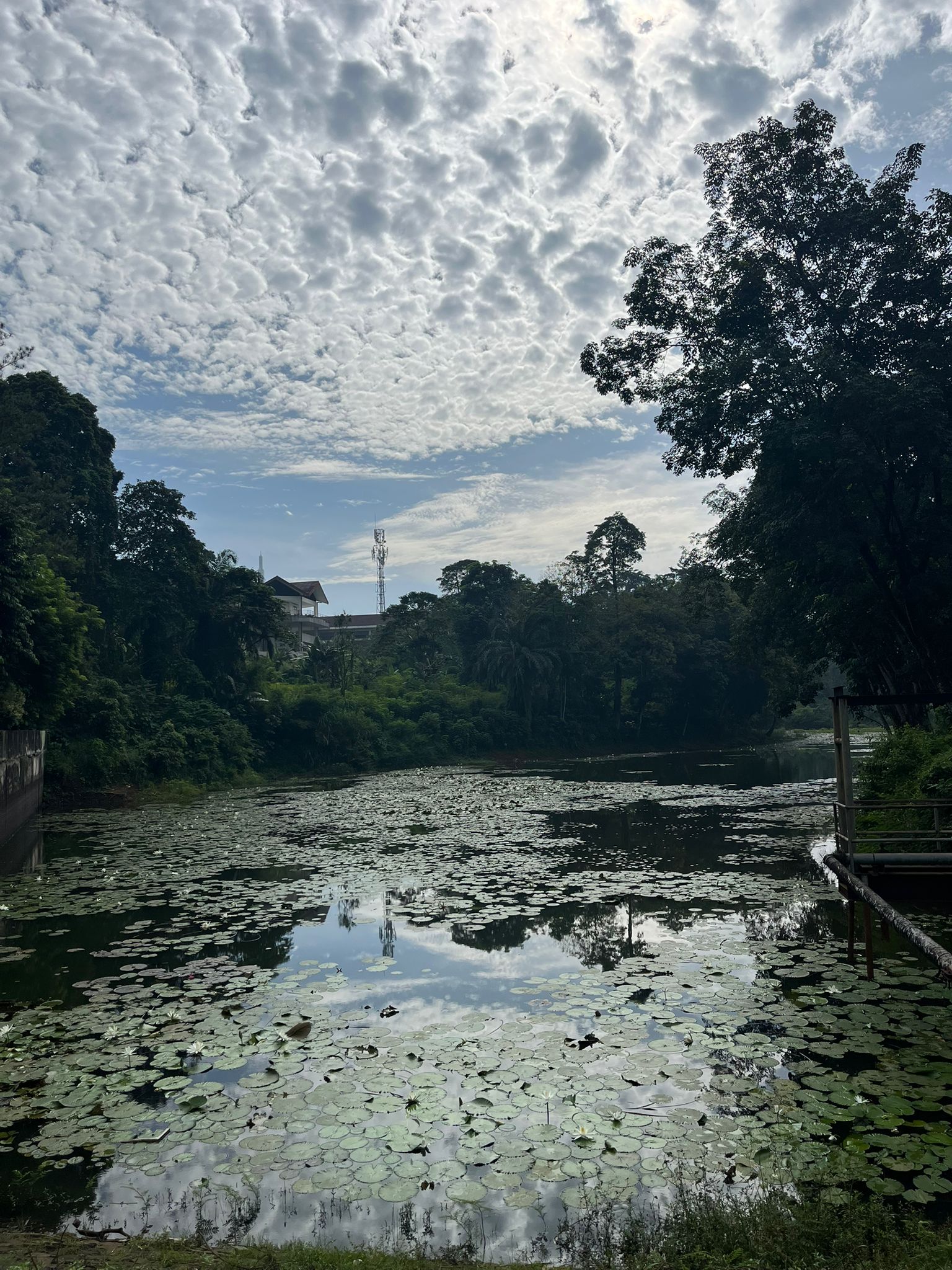 Scenery on the IPG campus photo Helena Low