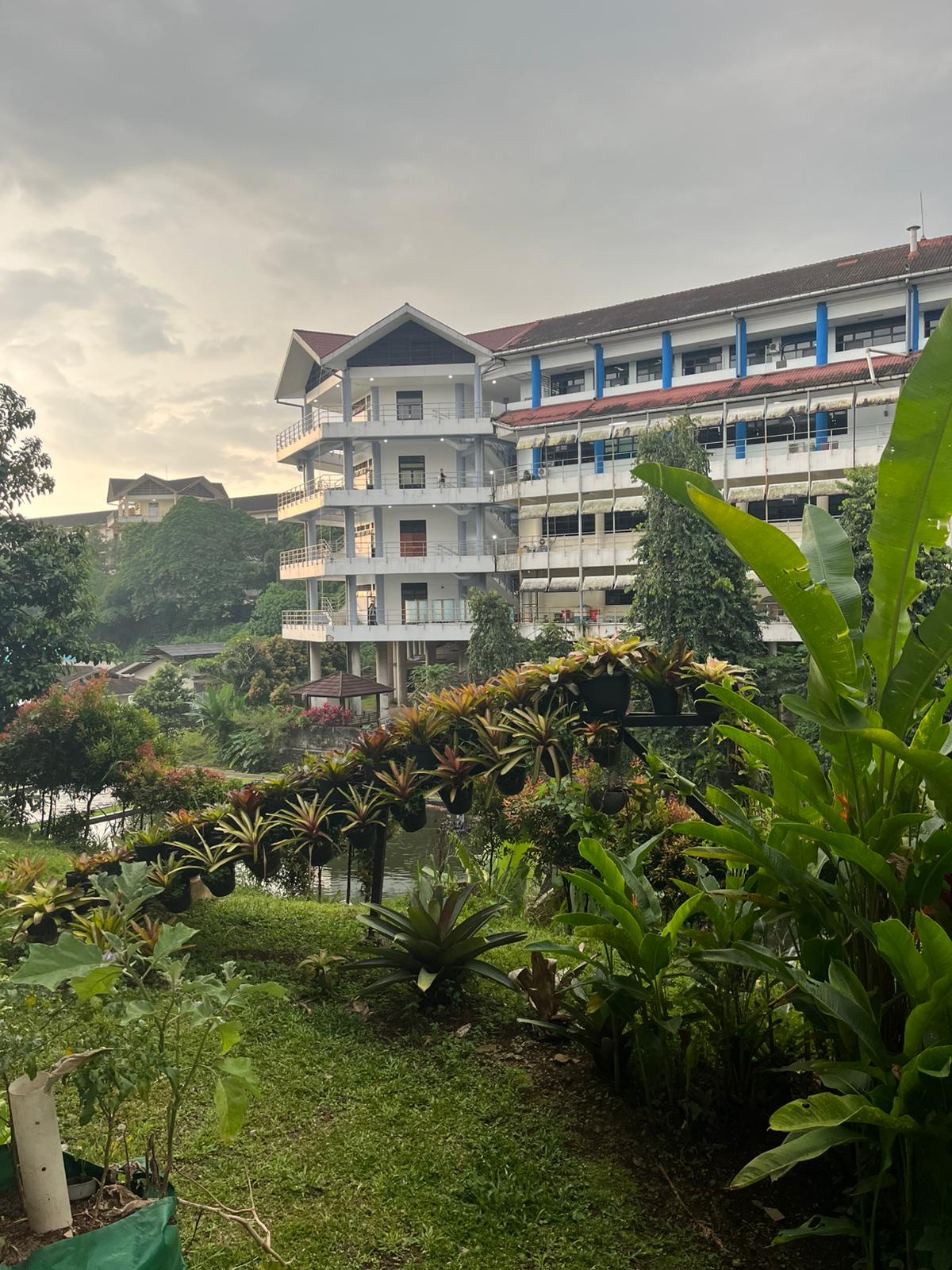 Views on the way to class on the IPB campus in Indonesia photo Julia Evans.jpeg