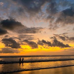 Exchange friends on a sunset swim at Canggu Beach in Bali (photo: Izzie Bjonness-Jacobsen)