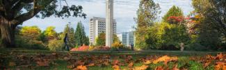 Fall leaves and the Clocktower at UBC Vancouver campus (photo: Don Erhardt / UBC Brand & Marketing)