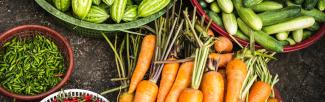 vegetables