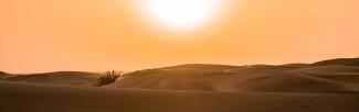 Desert sunset in Dubai, United Arab Emirates (photo: Fabio Partenheimer/Pexels)