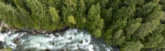 Bird's-eye view of wild river in forest, Whistler, BC (photo: AscentXmedia/iStock)
