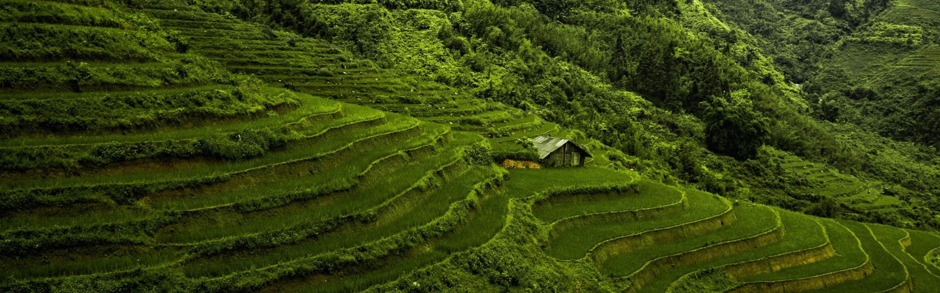 View of terraces carved into the mountains in Vietnam (photo: Ian Slater/Pexels)