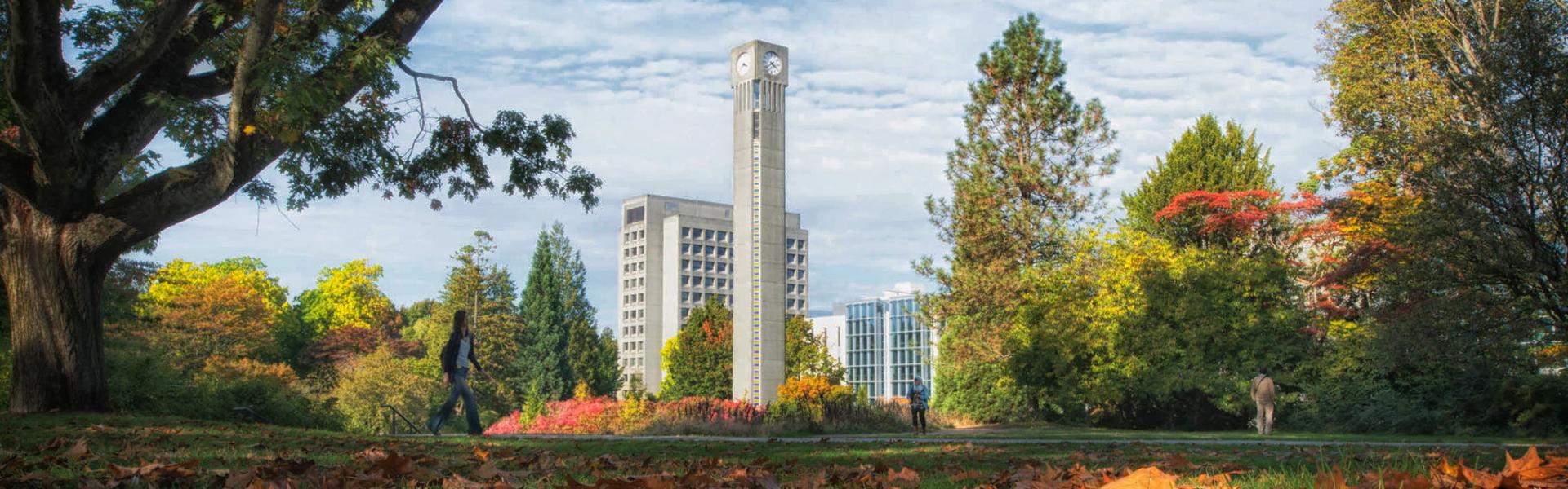 Fall leaves and the Clocktower at UBC Vancouver campus (photo: Don Erhardt / UBC Brand & Marketing)