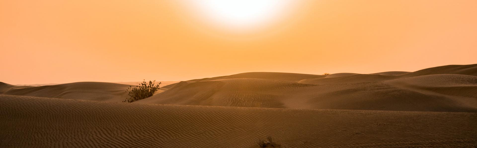 Desert sunset in Dubai, United Arab Emirates (photo: Fabio Partenheimer/Pexels)